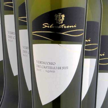 Casa Vinicola Silvestroni - collezione anfora